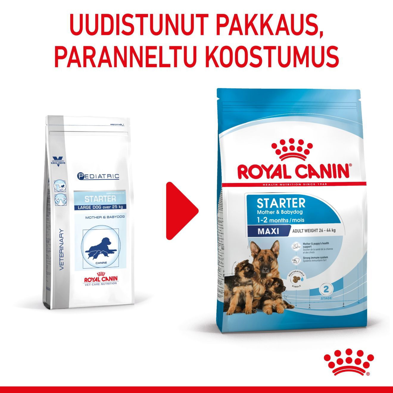 Royal Canin Maxi Starter koiran ja koiranpennun kuivaruoka