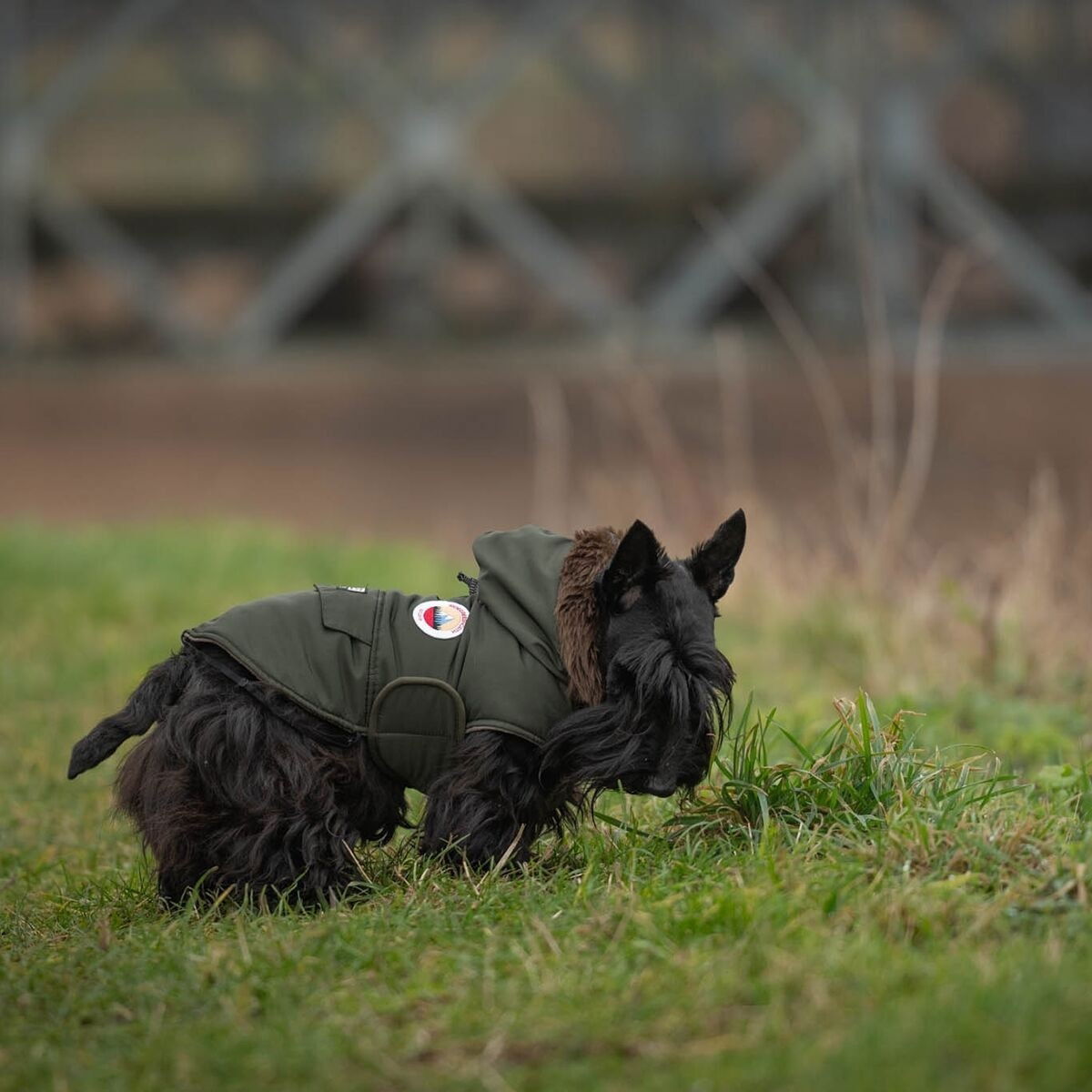 51 Degrees North Inuit Coat, khaki