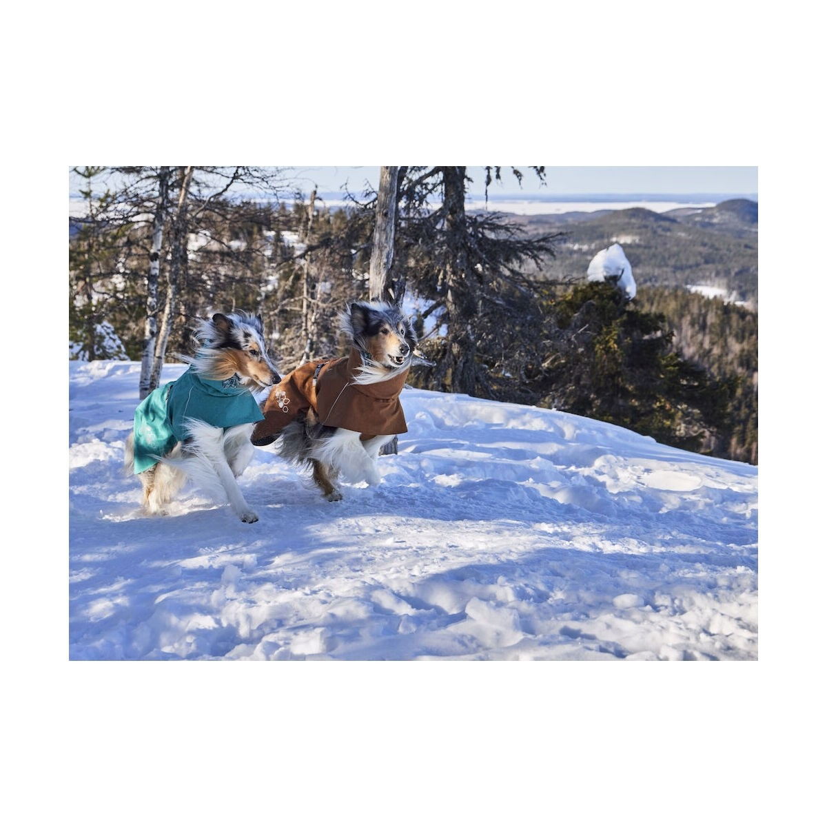 Hurtta Monsoon III Eco sadetakki aavikko