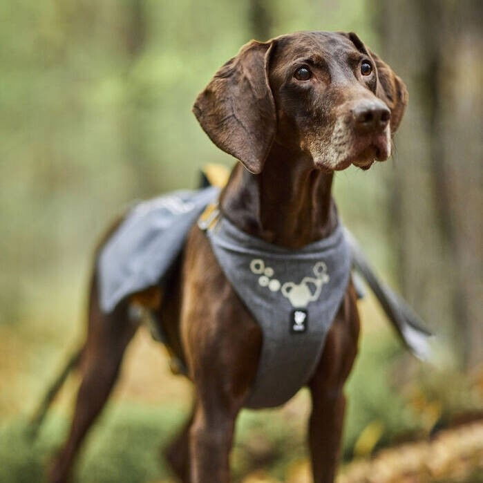 Hurtta Expedition Pack  valjas ECO harmaa