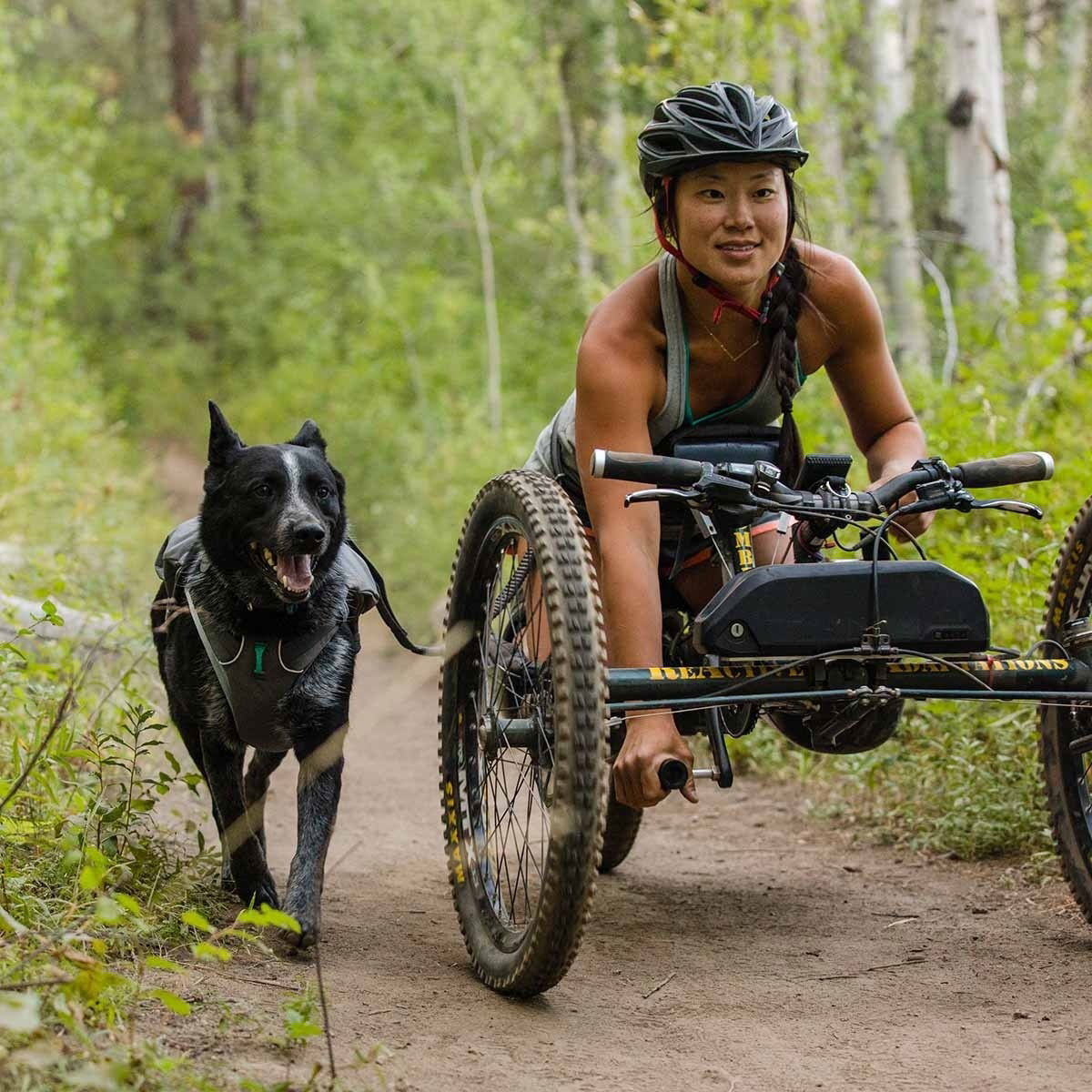 Ruffwear Roamer joustotalutin, harmaa