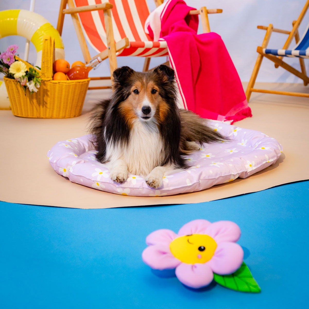 Little&Bigger HotSummer viilennyspeti päivänkakkarakuviollinen liila