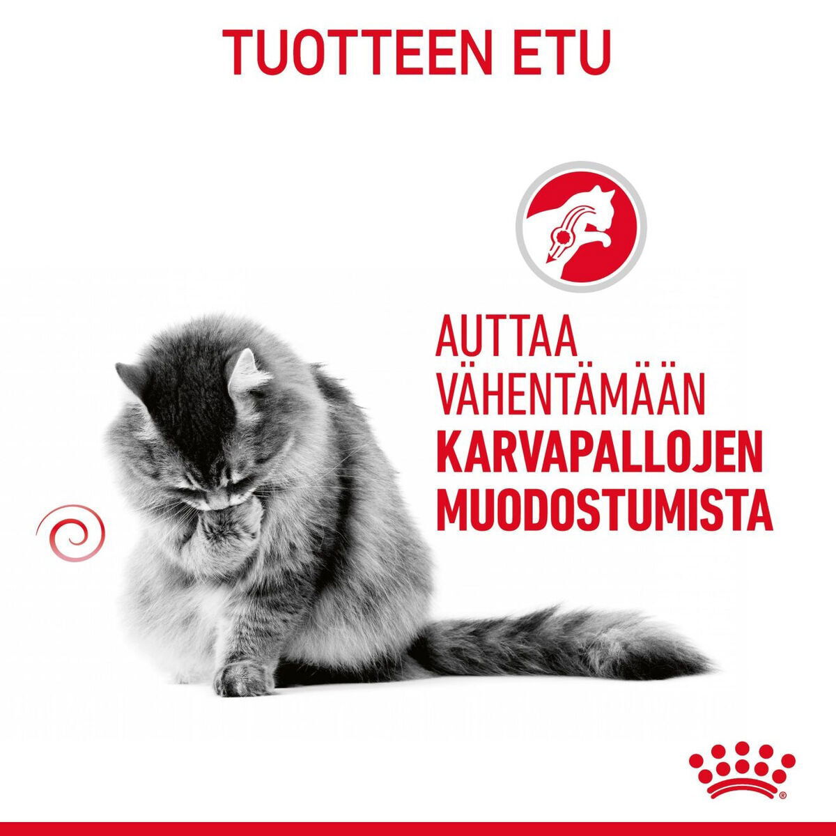 Royal Canin Hairball Care Gravy Adult kissan märkäruoka