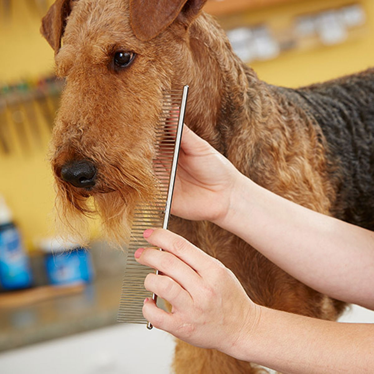 Andis-teräskampa 19 cm