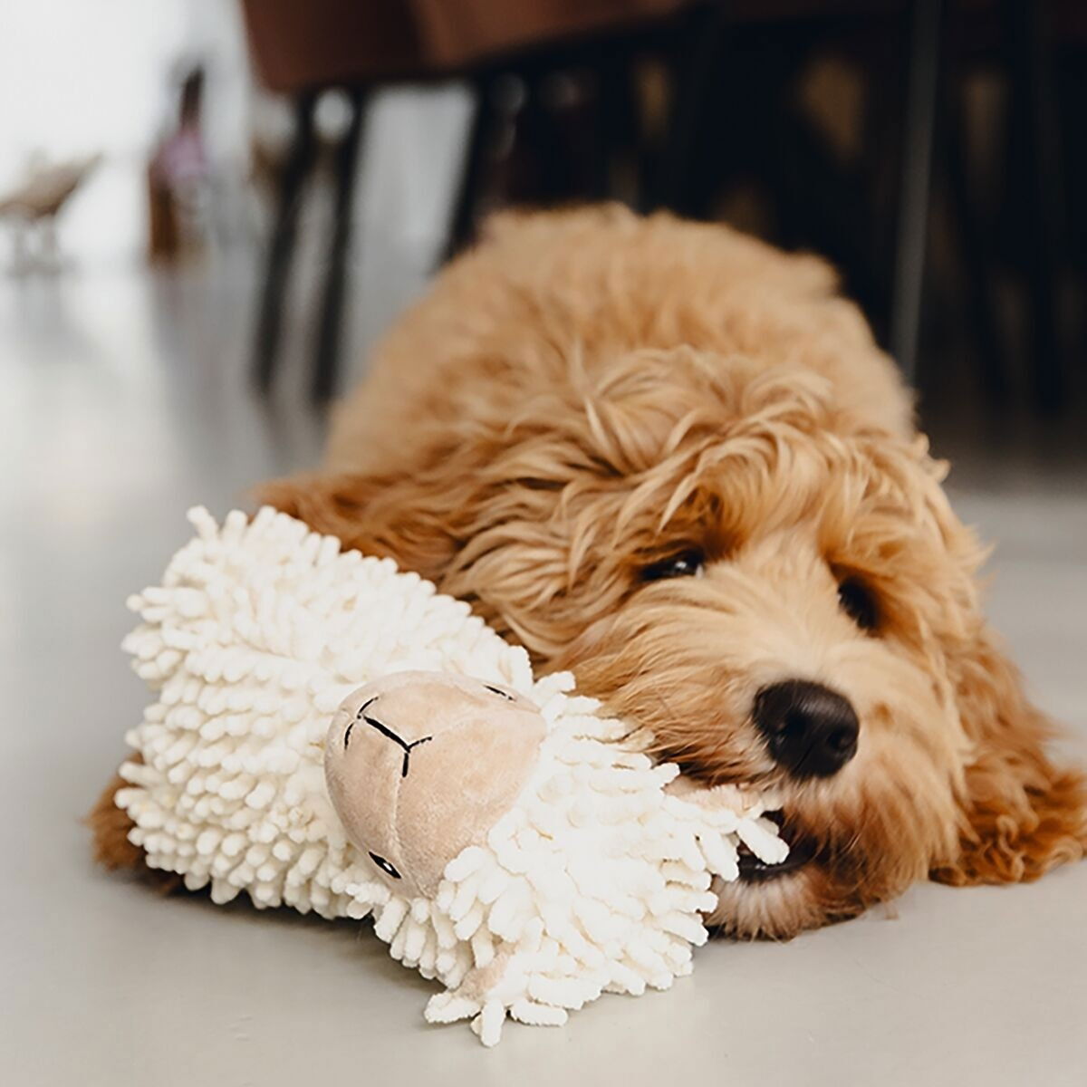 Beeztees Eco Sheep Jovi