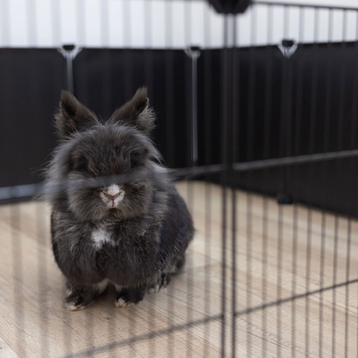 Kerbl pieneläinaitauksen lisäosat 6kpl, metallia