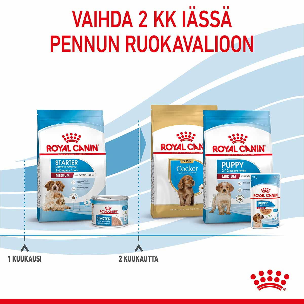 Royal Canin Medium Starterkoiran ja koiranpennun kuivaruoka