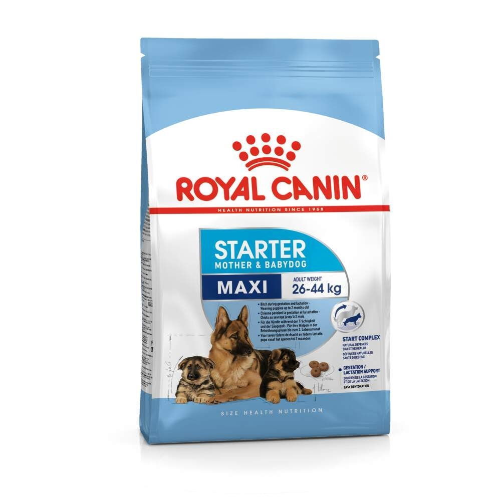 Royal Canin Maxi Starter koiran ja koiranpennun kuivaruoka