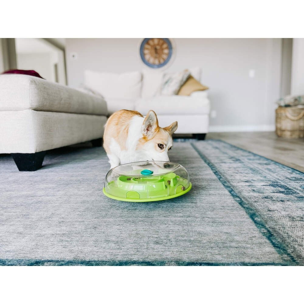 Nina Ottosson Dog Wobble Bowl lime