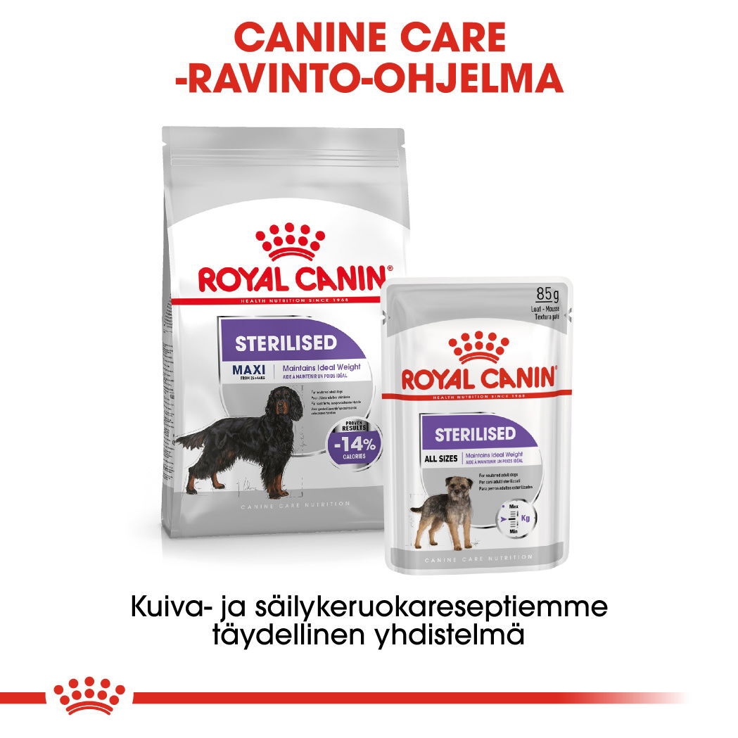 Royal Canin Sterilised Maxi Adult koiran kuivaruoka