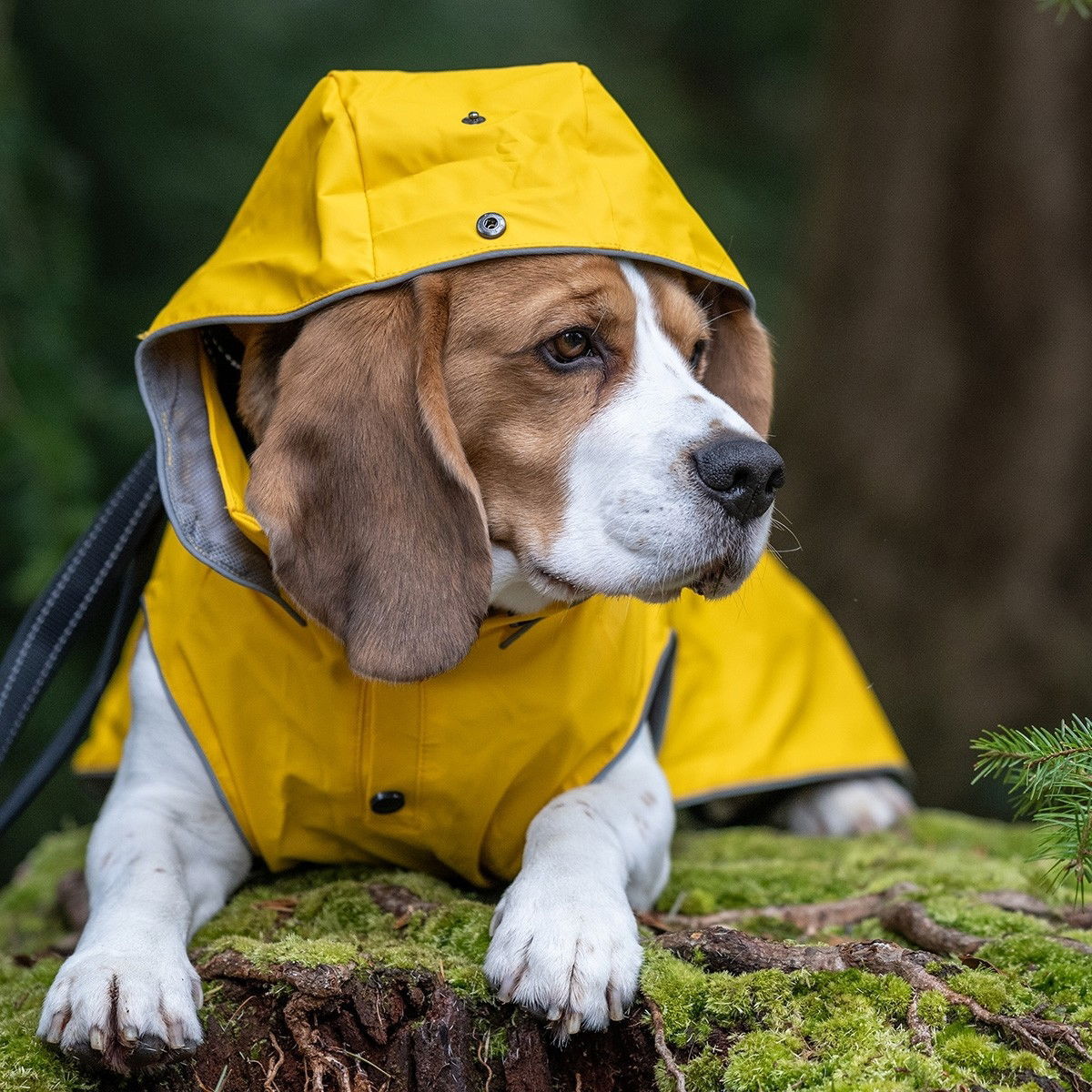 Rukka Stream sadetakki keltainen