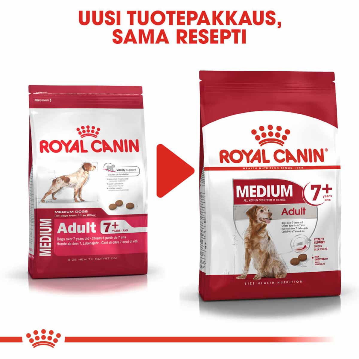 Royal Canin Medium Adult 7+ koiran kuivaruoka