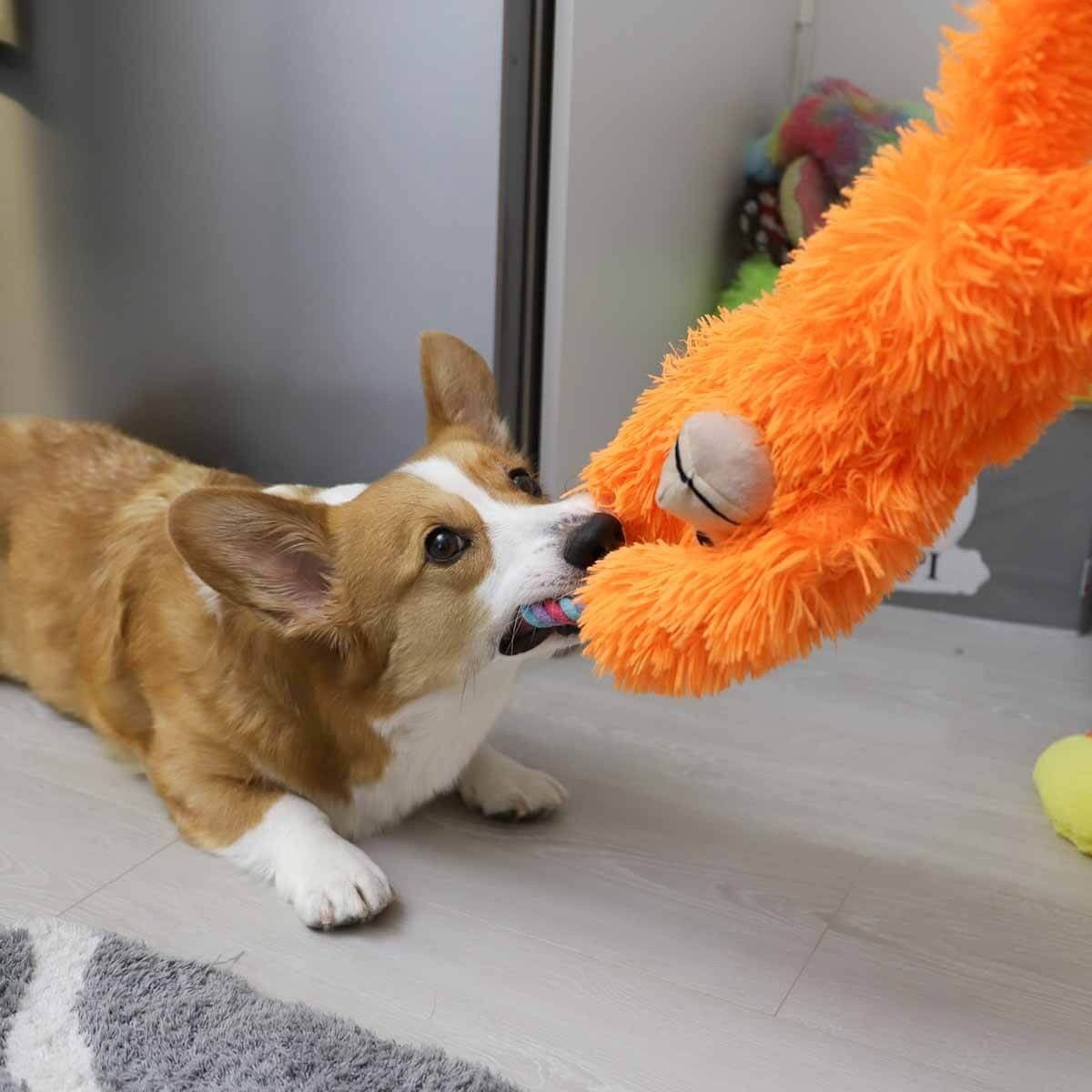 KONG Tuggz Apina, XL