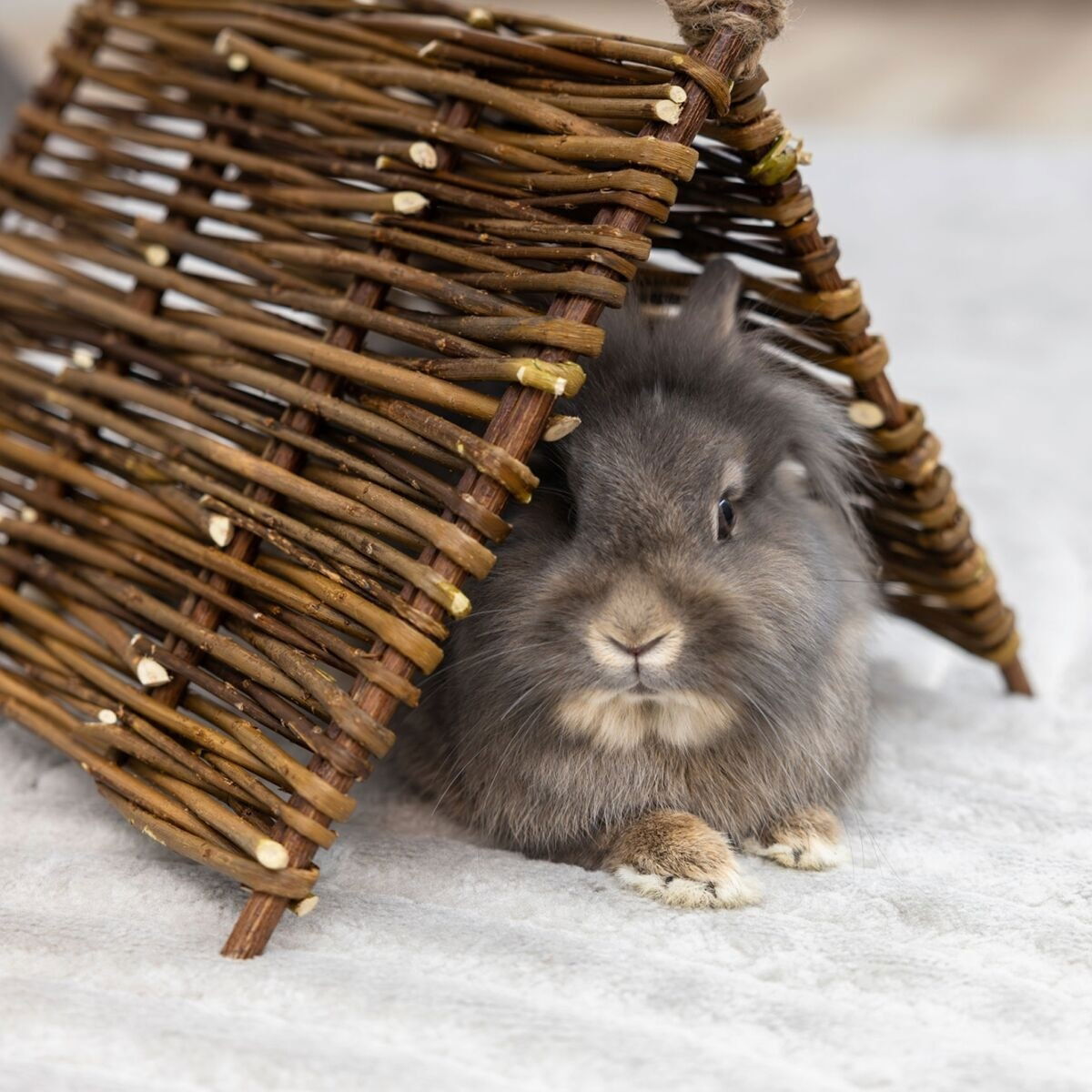 Kerbl Teepee Tent Nature