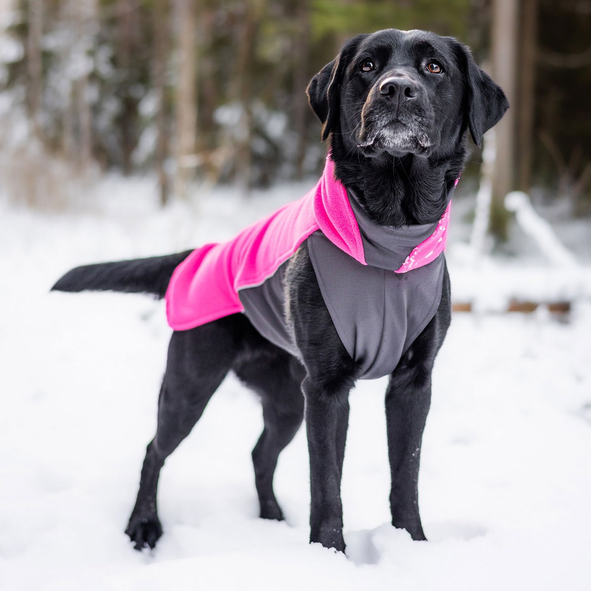 JumppaPomppa paita, pinkki