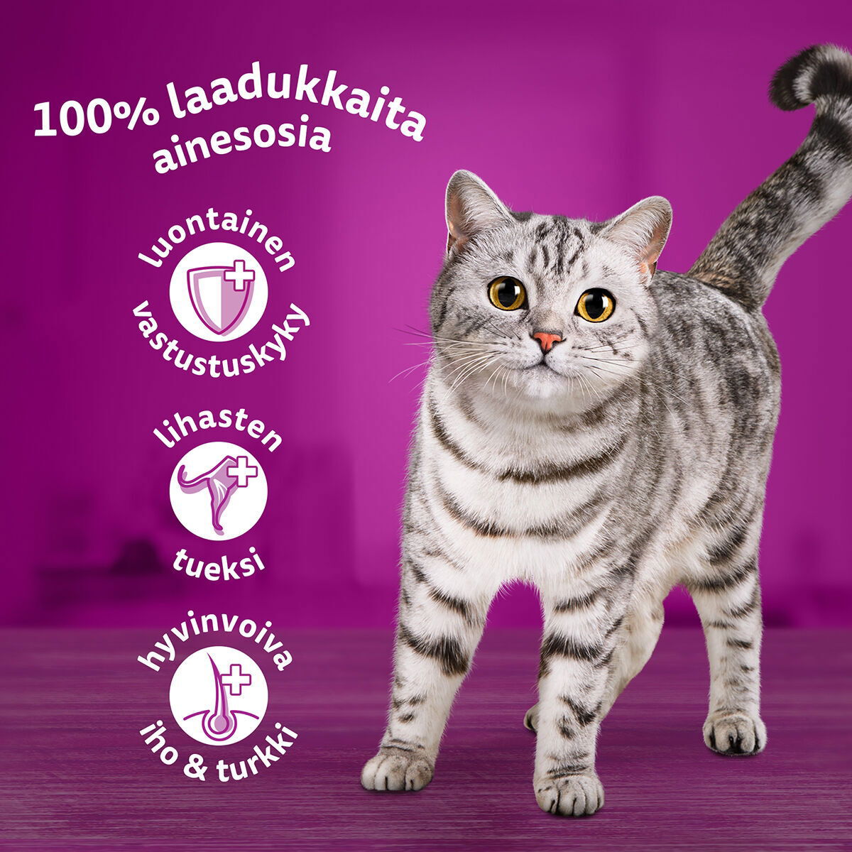 Whiskas 1+ jelly 40x85g