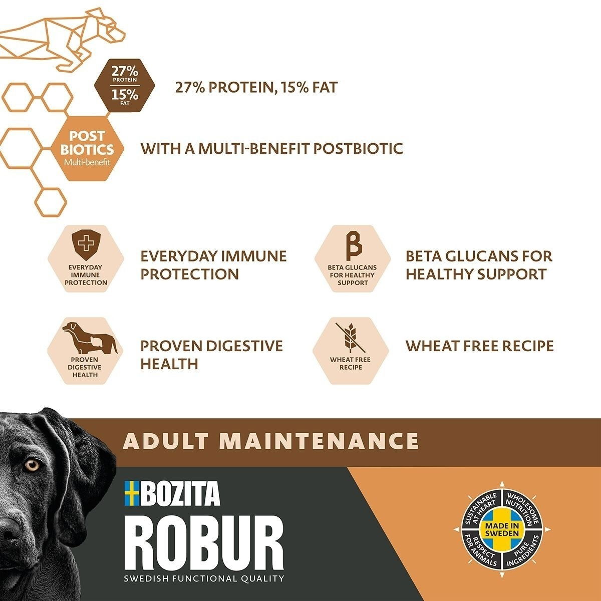 Robur Adult Maintenance