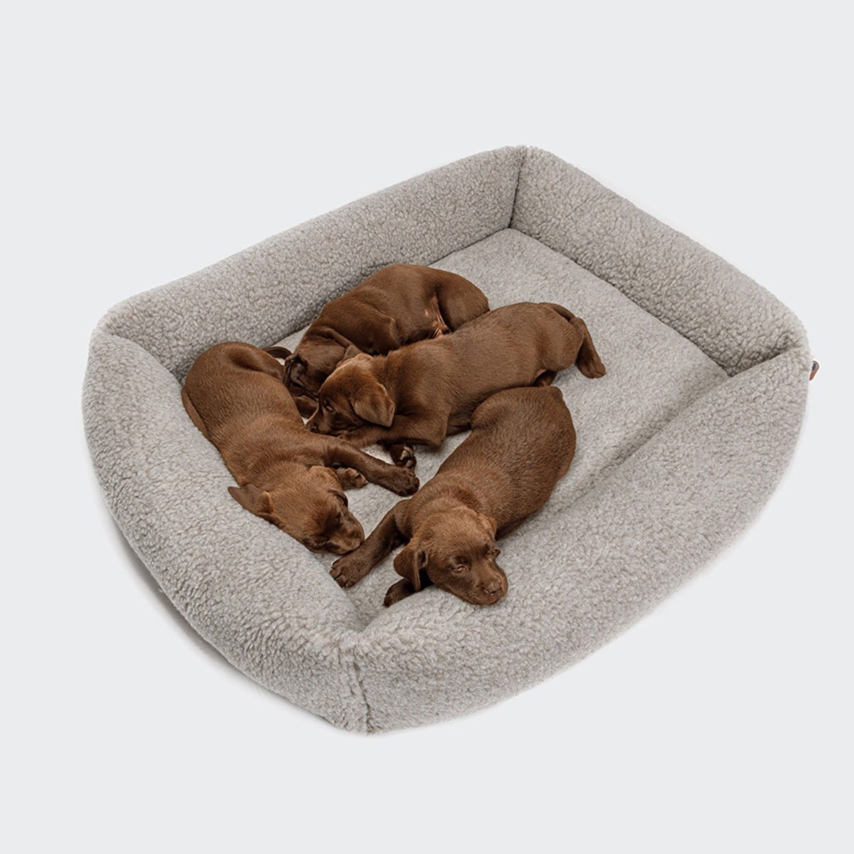 Cloud7 Dog bed sleepy Delxue Teddy