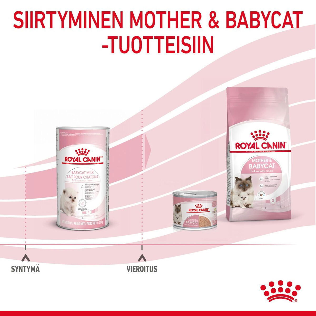 Royal Canin Babycat Milk maito kissanpennulle