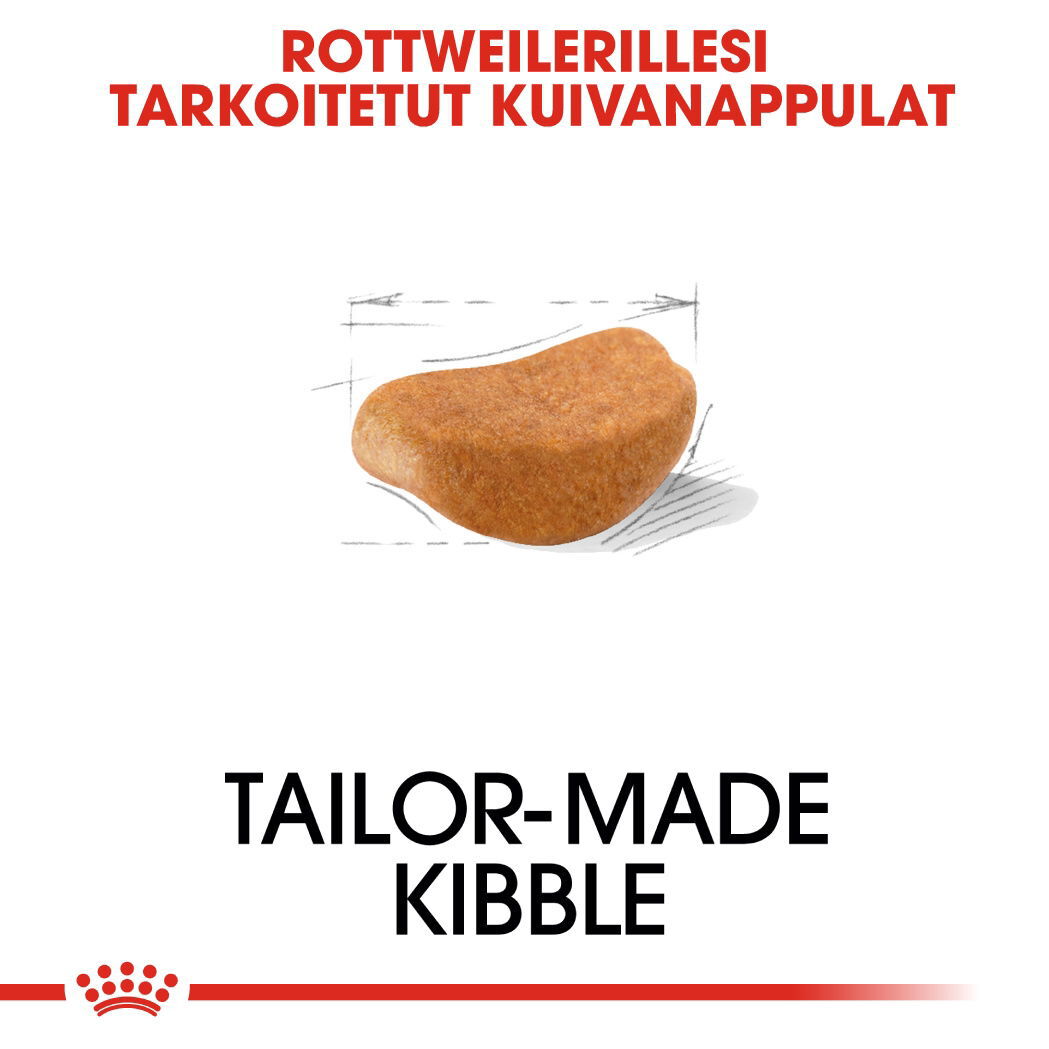 Royal Canin Rottweiler Adult koiran kuivaruoka