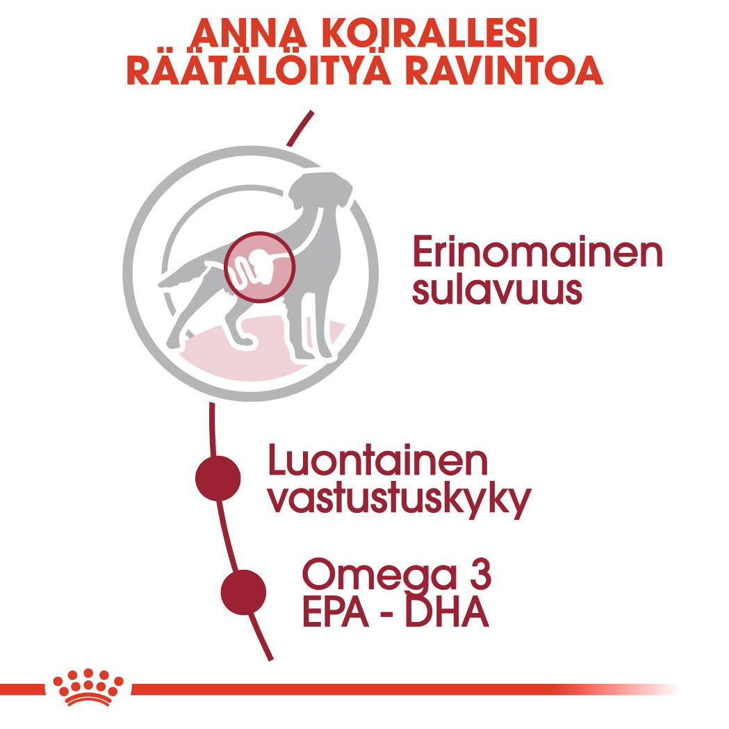 Royal Canin Medium Adult Gravy koiran märkäruoka