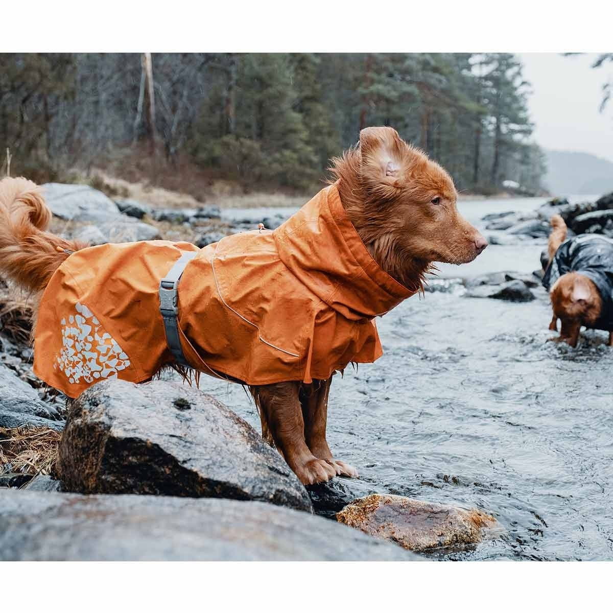 Hurtta Monsoon sadetakki tyrni