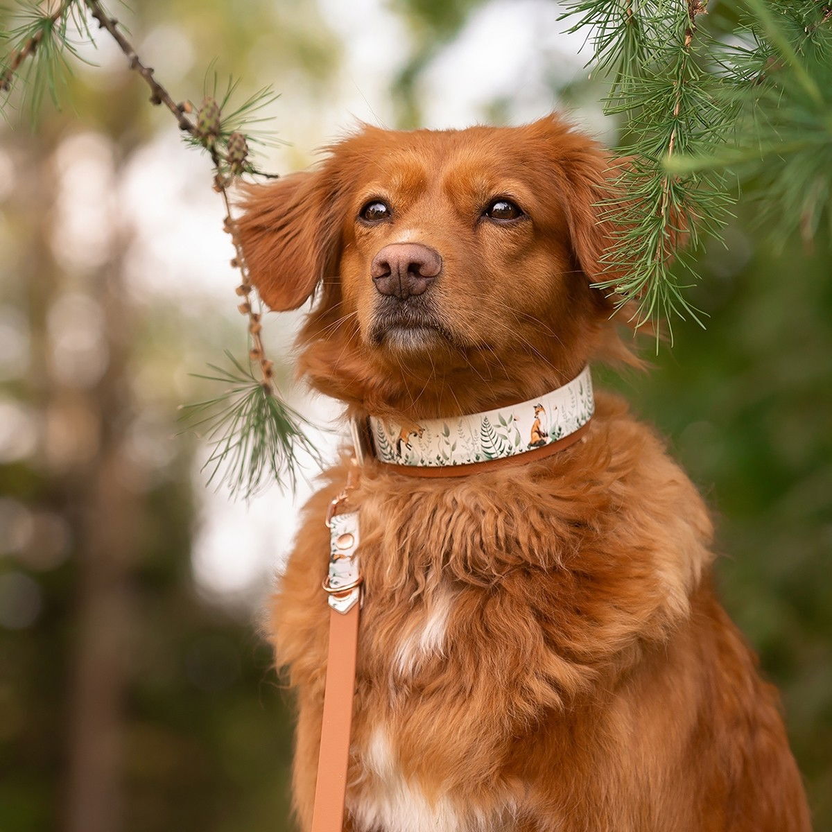 Tyylivoitto Unique multileash, cognac/fox