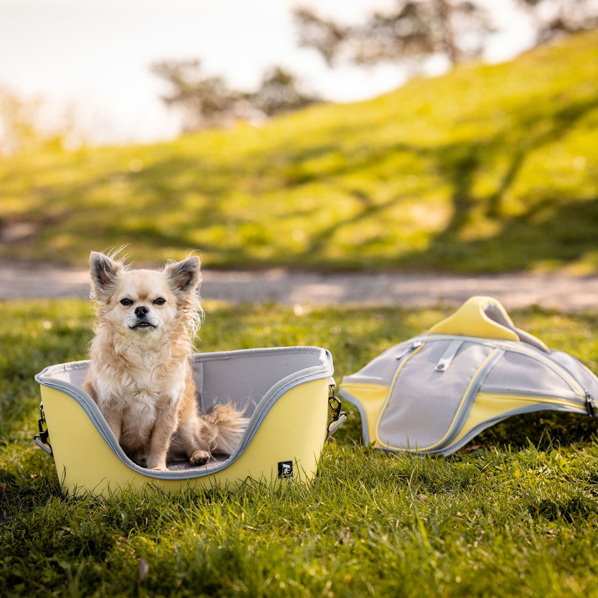 Feel Active kovakuorinen kantokassi sitruunankeltainen