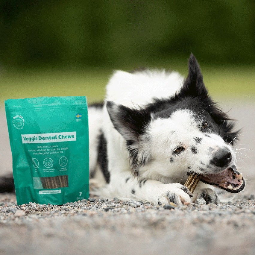 Buddy Veggie Dental Chew M
