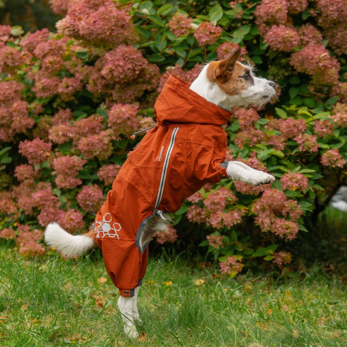 Hurtta Mudventure ECO overall, cinnamon