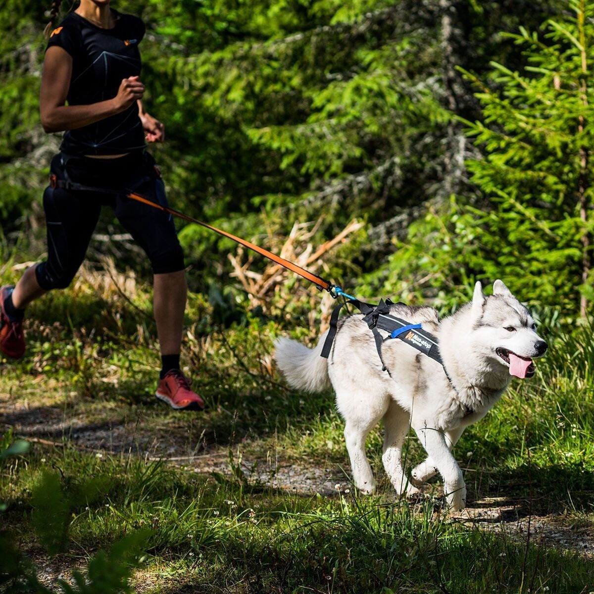 Non-stop Freemotion vetovaljas