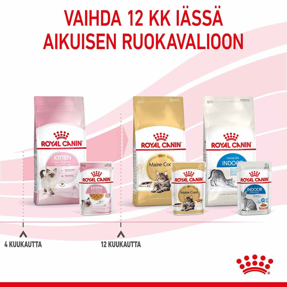 Royal Canin Kitten Jelly kissanpennun märkäruoka