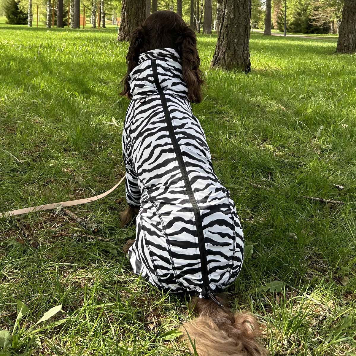 Rukka Zebra koiran haalari