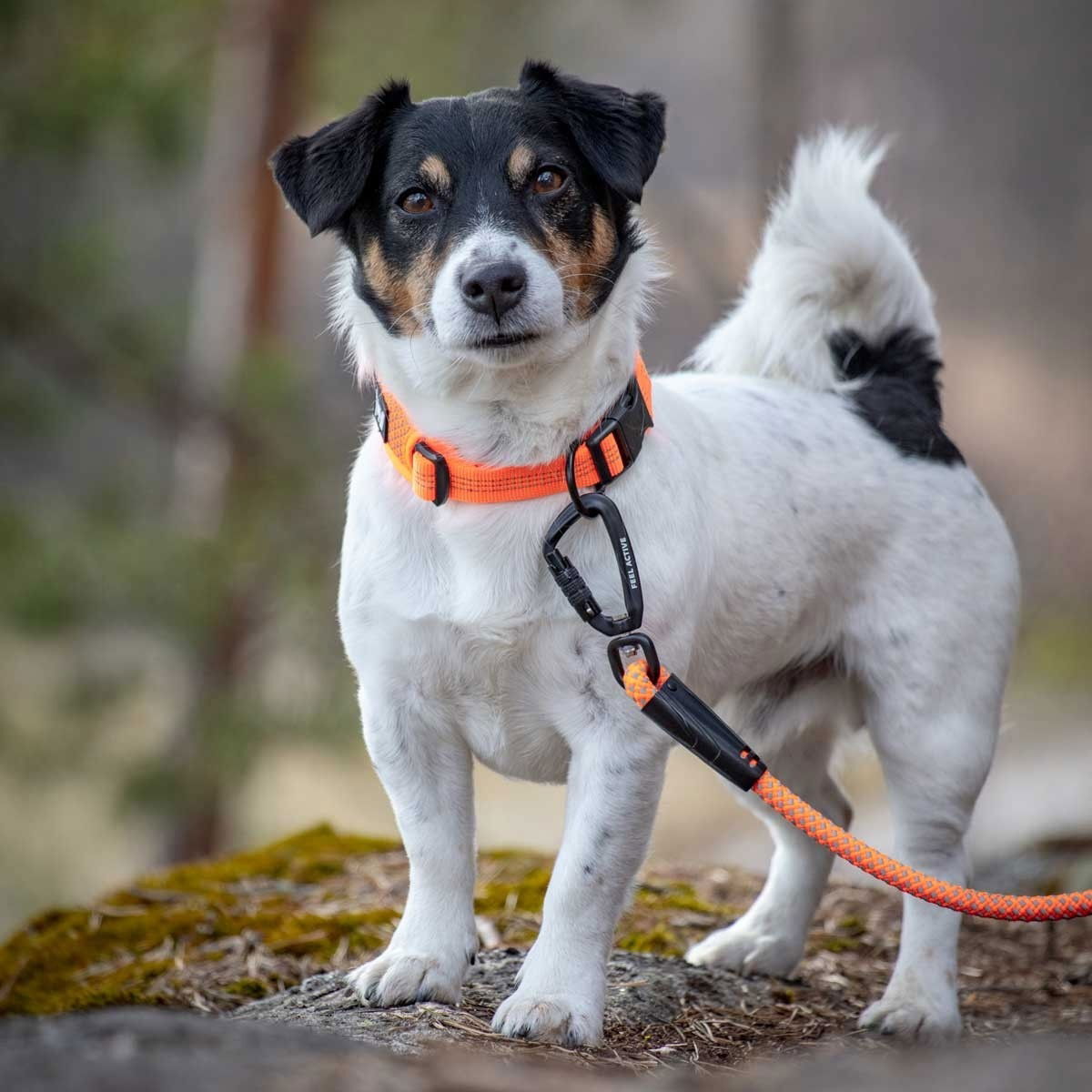 Feel Active Rope köysitalutin oranssi 6mm