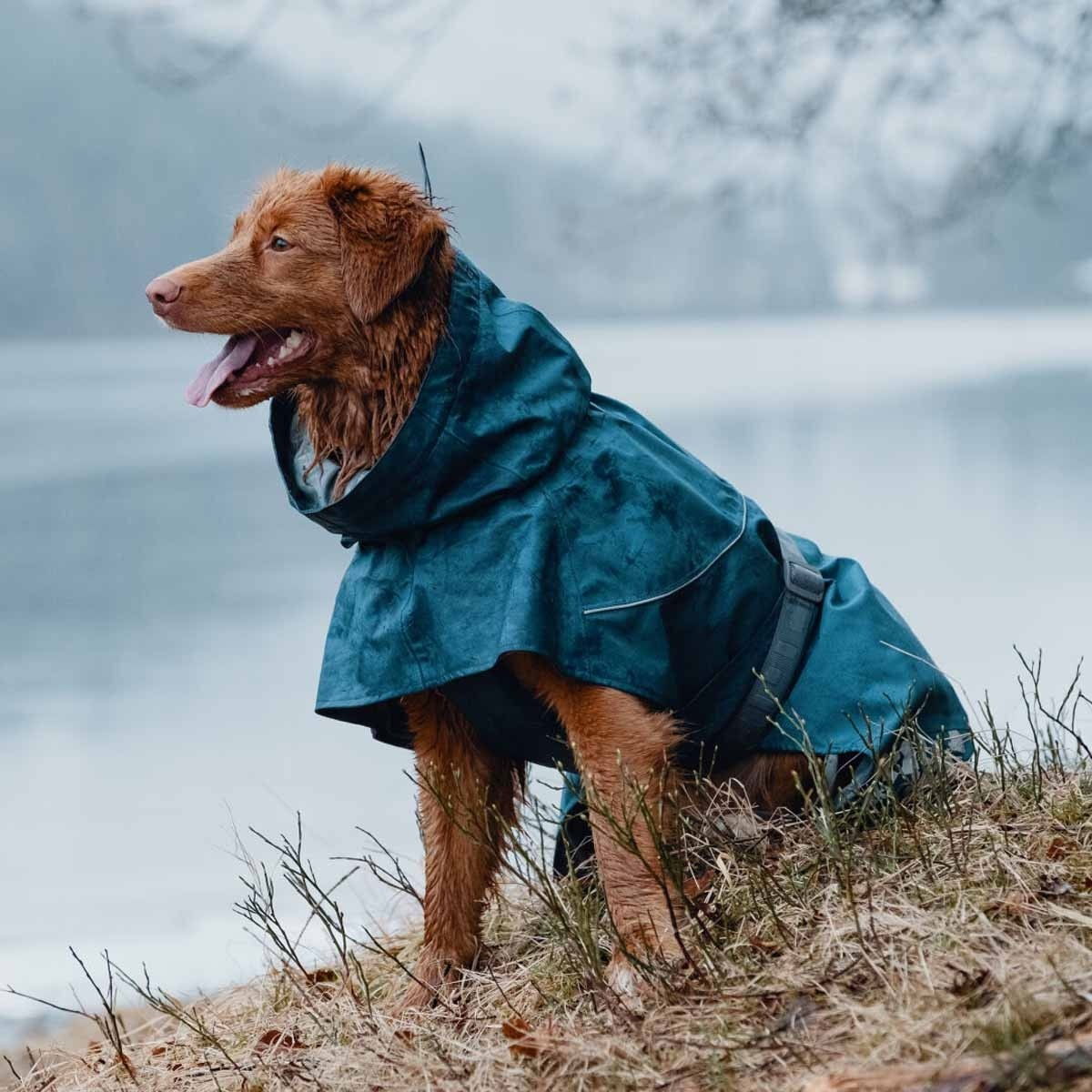 Hurtta Monsoon sadetakki, mustikka