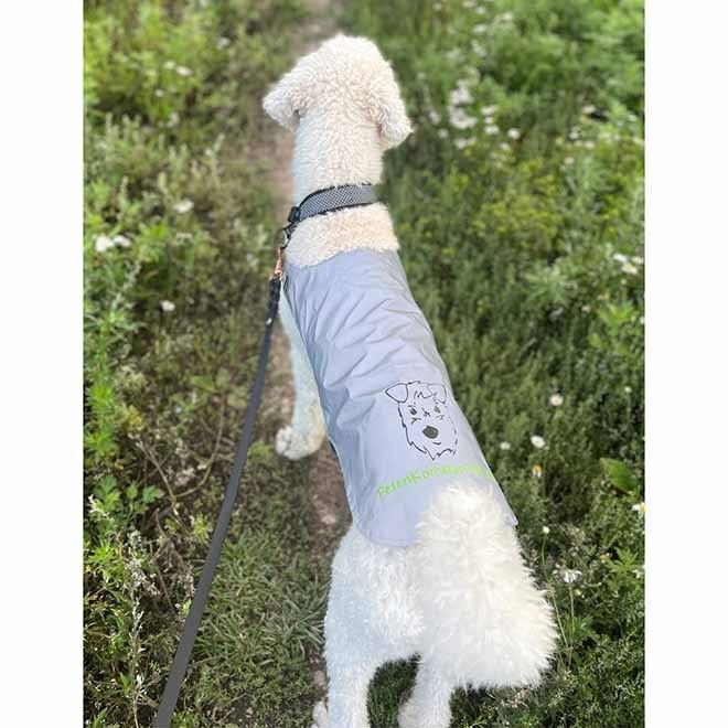Icepeak Pet Brightly visibility vest Peten