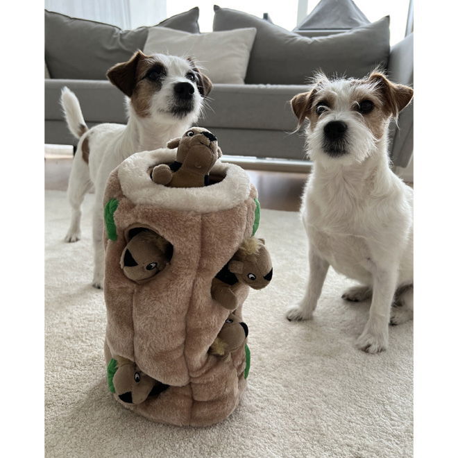 Outward Hound Hide A Squirrel