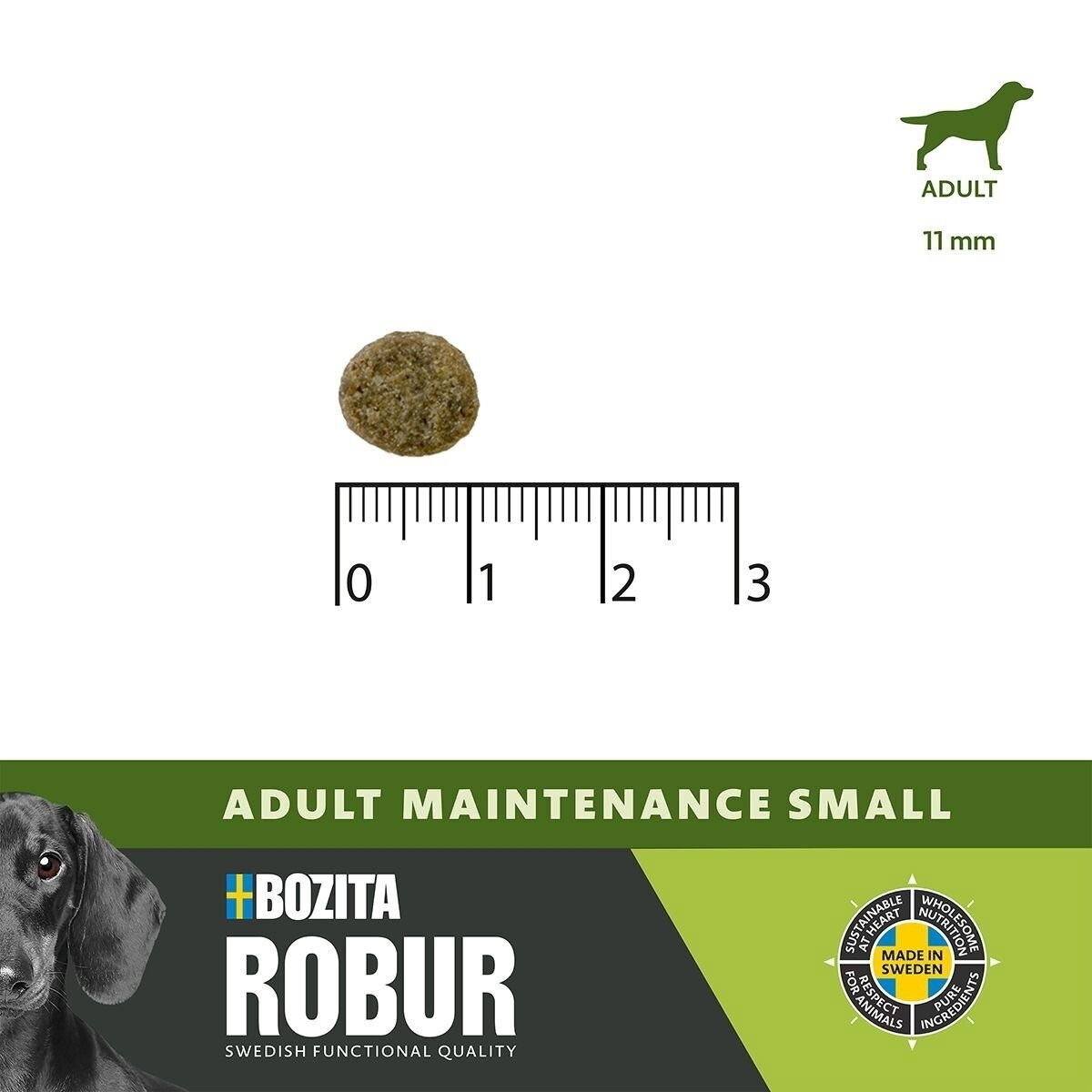Robur Adult Maintenance Mini