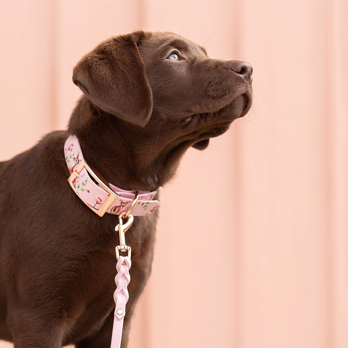 Tyylivoitto Braid leash, baby pink