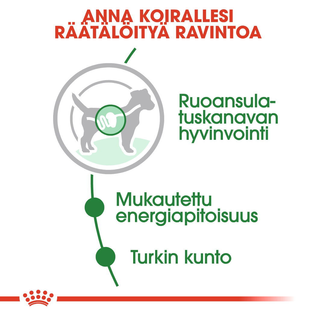 Royal Canin Mini Adult Gravy koiran märkäruoka