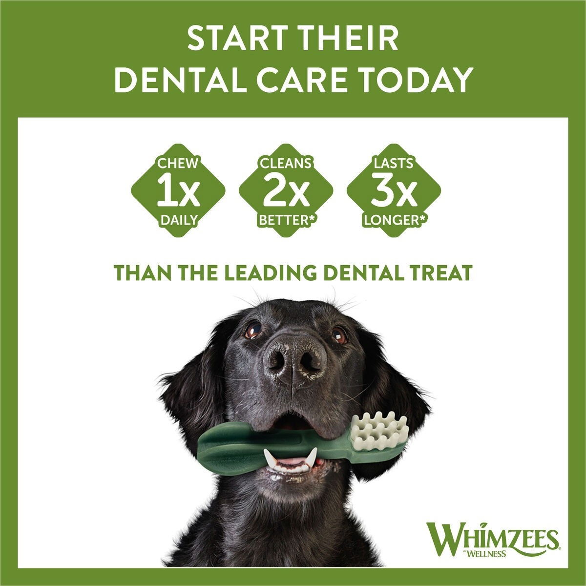 Whimzees hammasharja L 6kpl