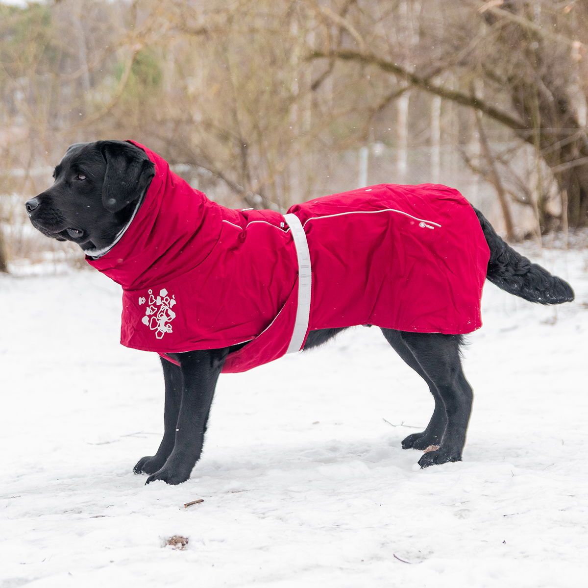 Hurtta Extreme Warmer takki, puolukka