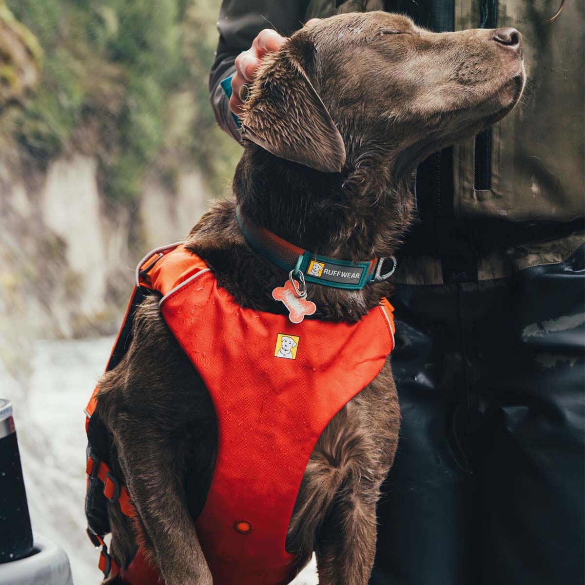 Ruffwear Confluence life jacket, Tangelo Orange