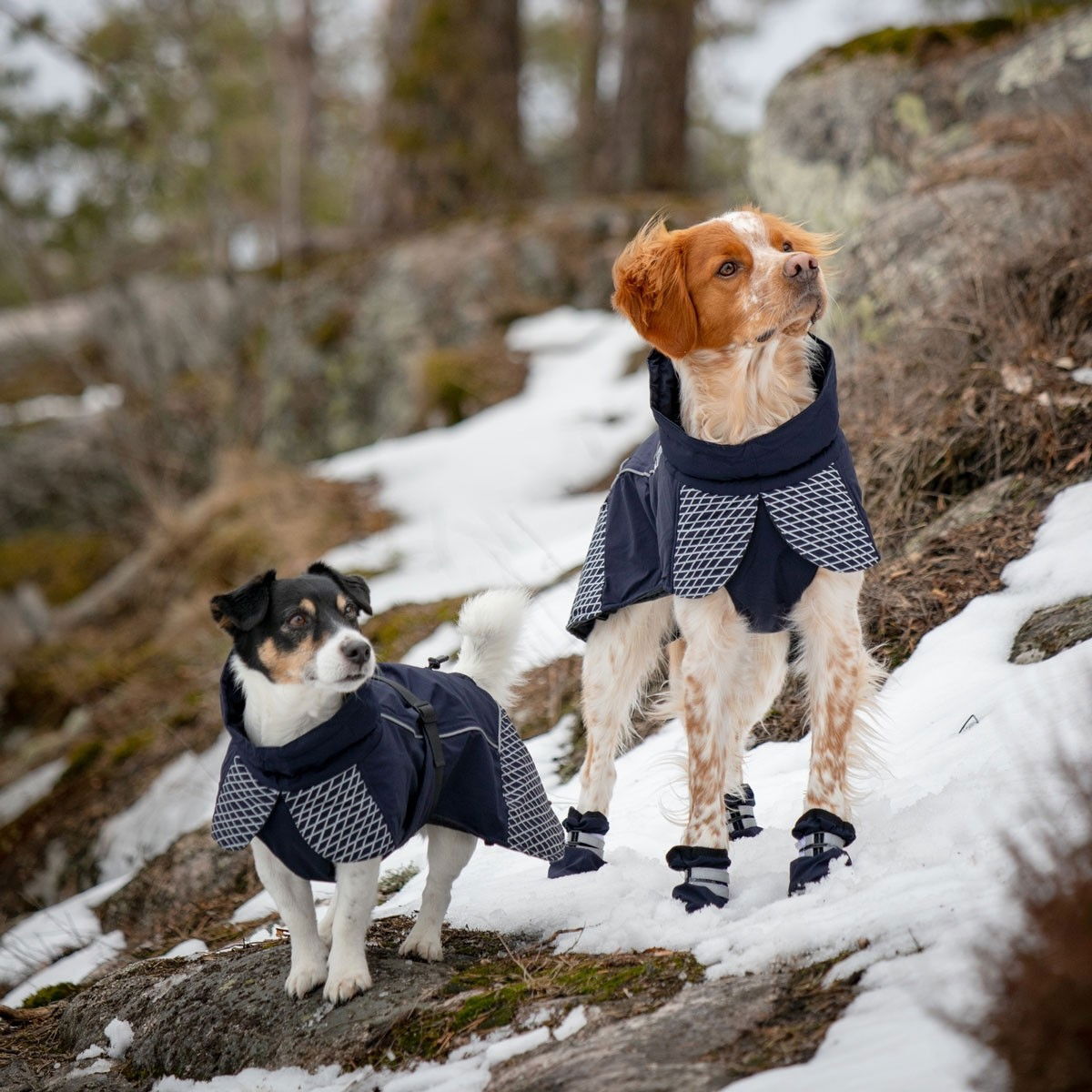 Feel Active Glacier talvi parka