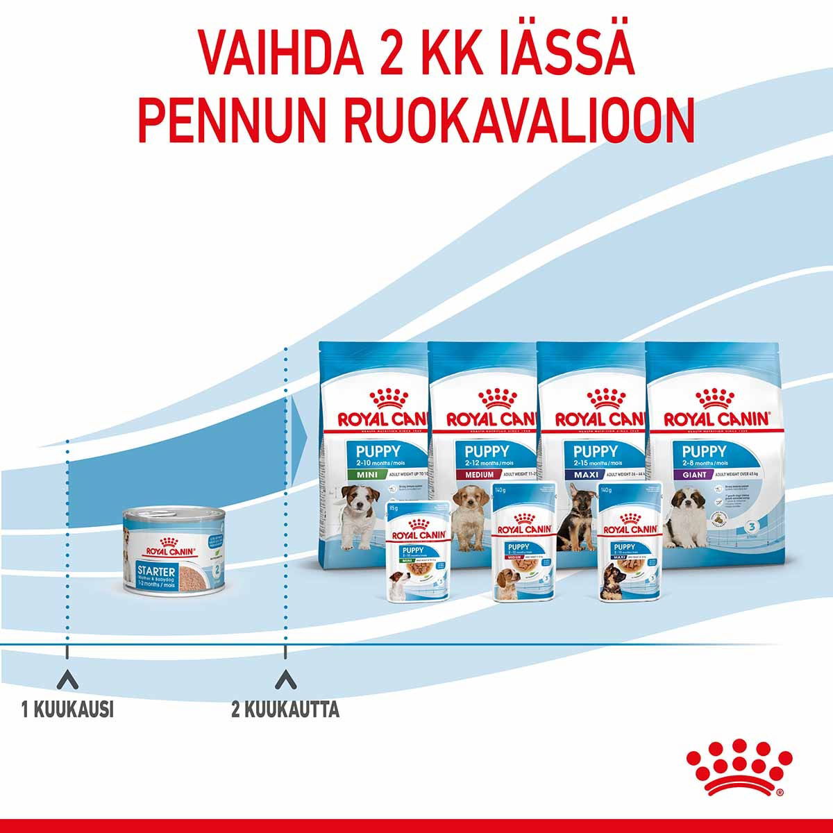 Royal Canin Mother & Babydog Starter Mousse märkäruoka nartuille ja vieroitettaville pennuille