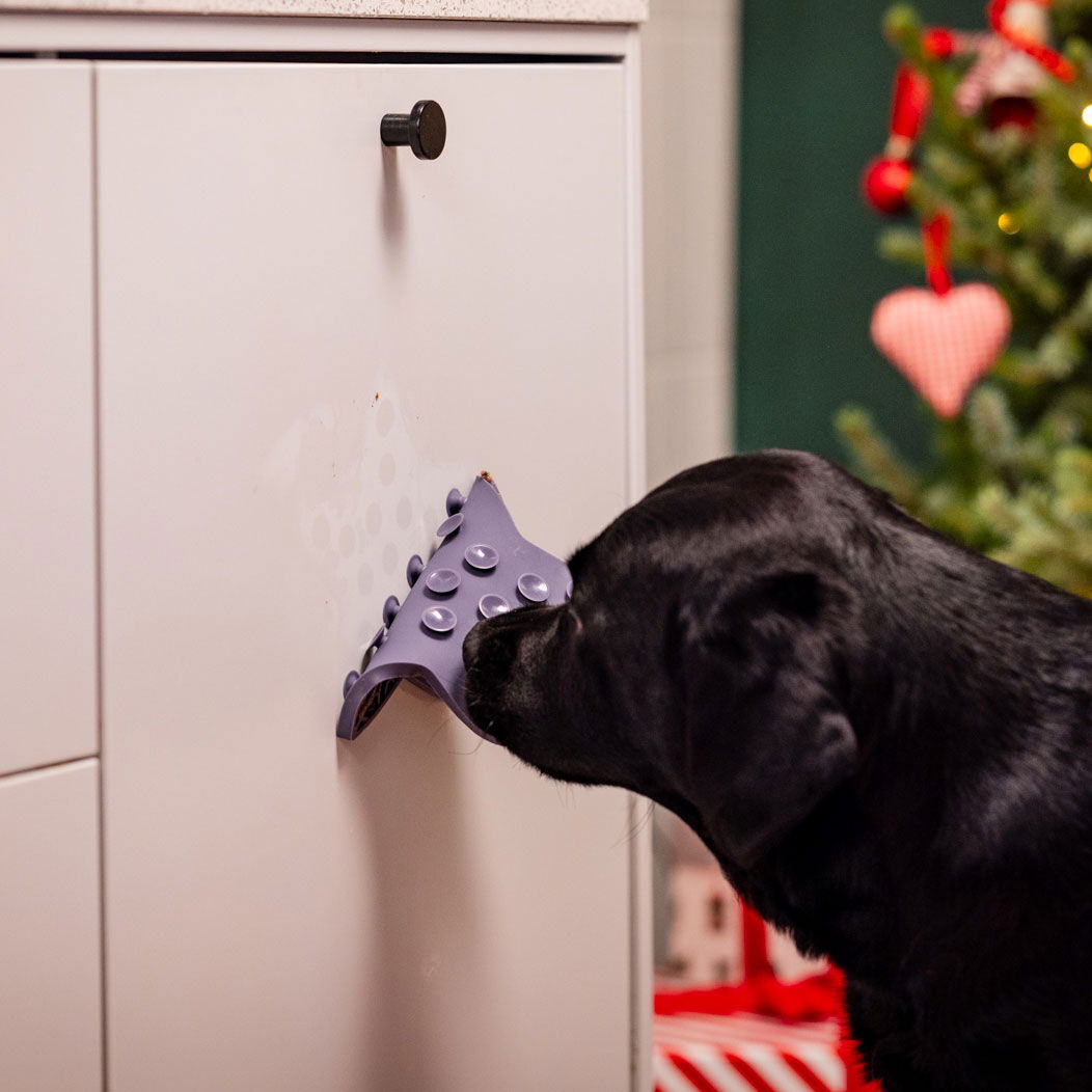 Little&Bigger nuolumatto tähti