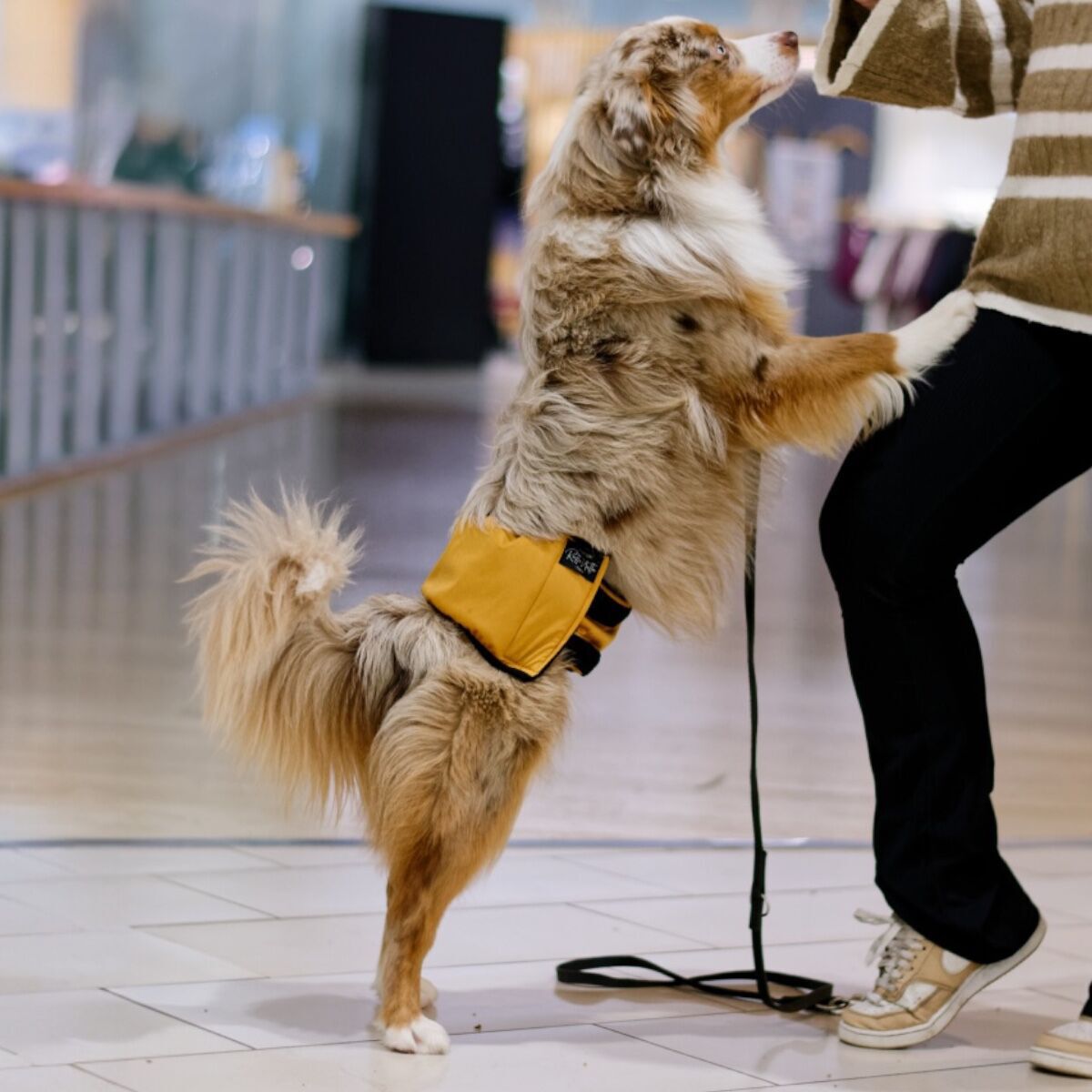 RuttuNuttu male wrap Amber Leaf