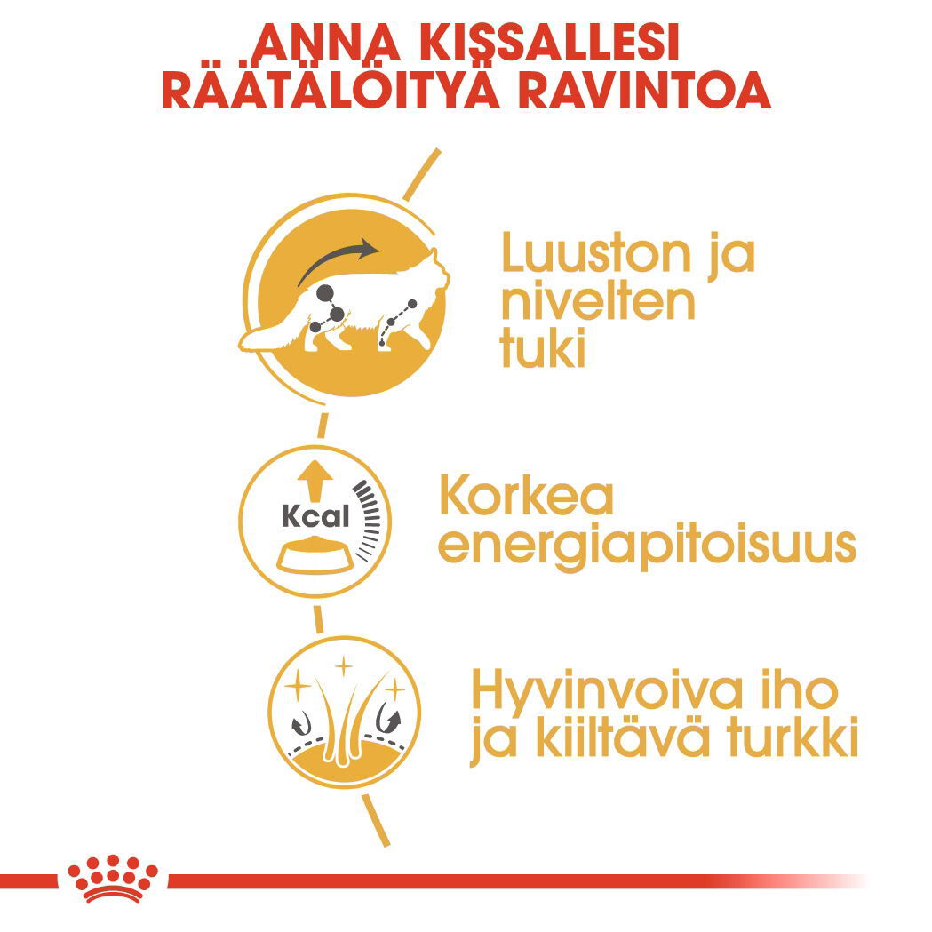 Royal Canin Maine Coon Adult Gravy kissan märkäruoka