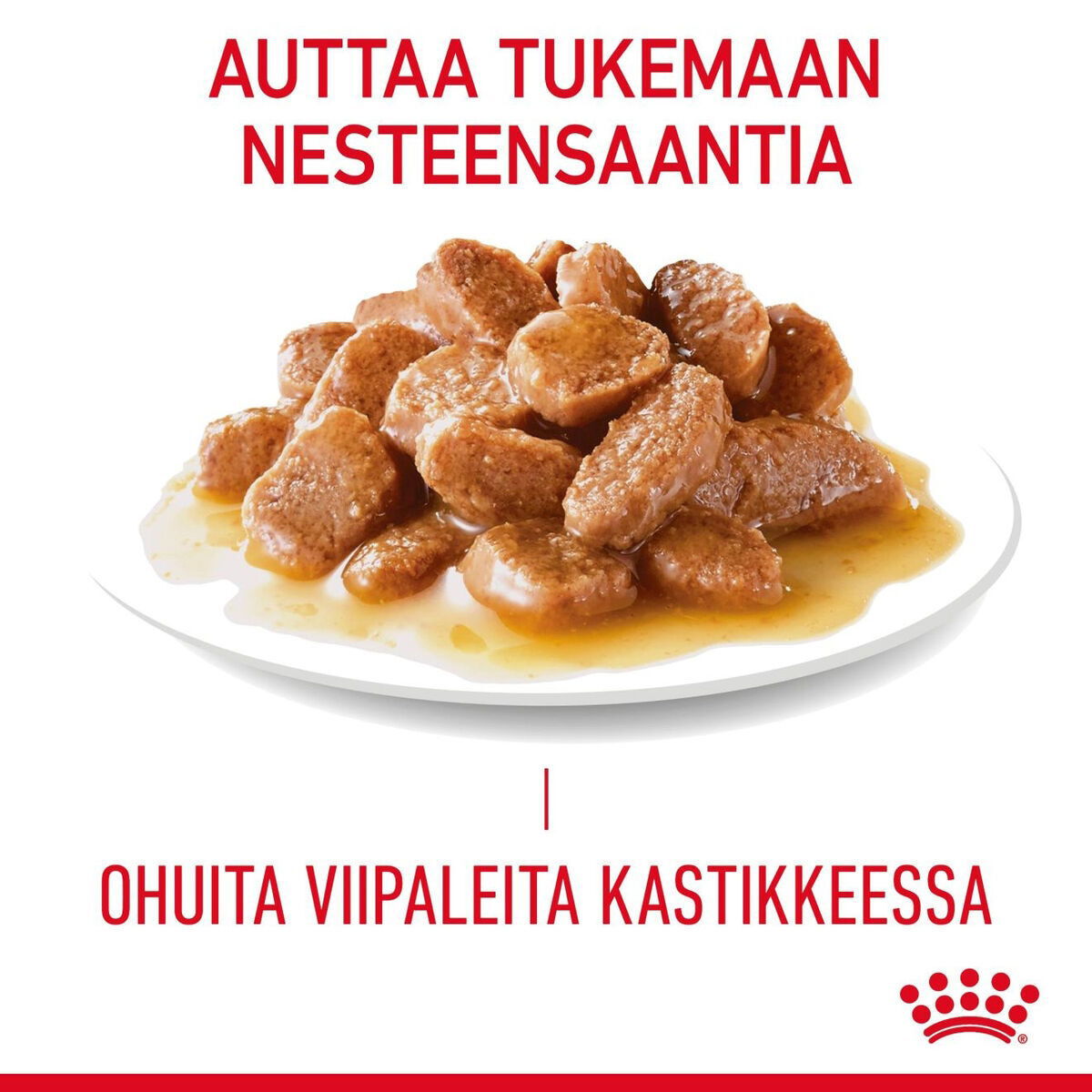 Royal Canin Hair & Skin Care Gravy Adult kissan märkäruoka