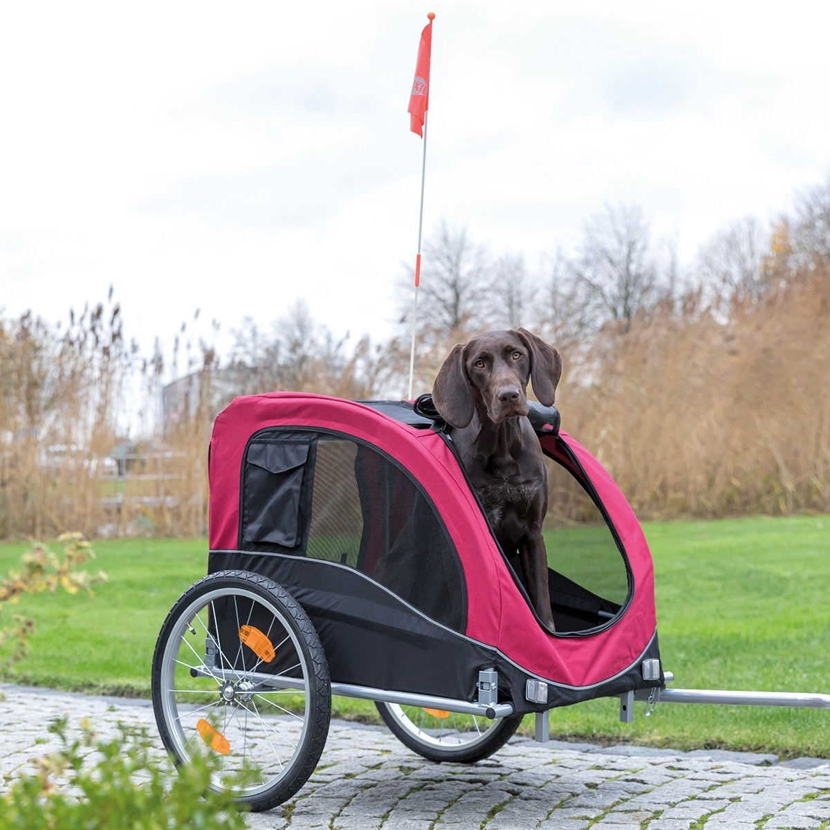 Trixie Bicycle trailer black/red 